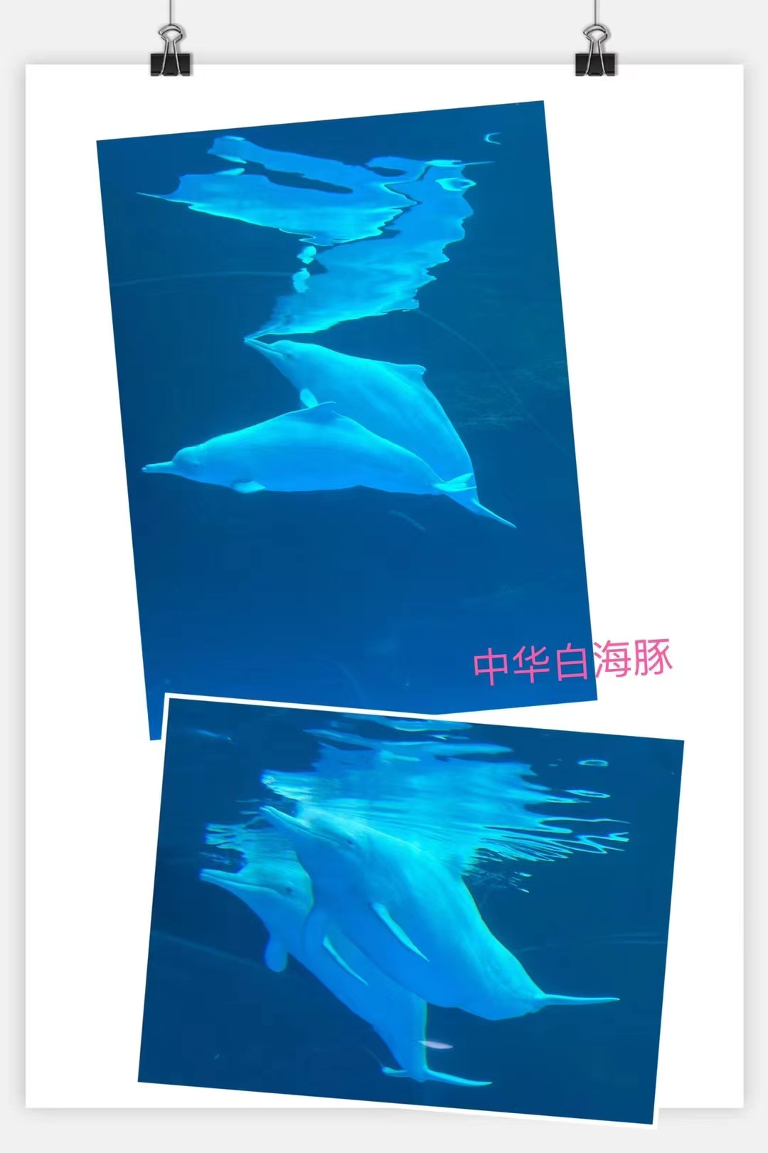 Cuairt Cur-seachad TalkingChina Zhuhai-6